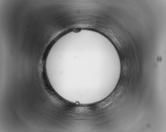 X0000103490160200810031613