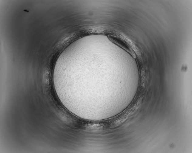 X0000103490161200810031613