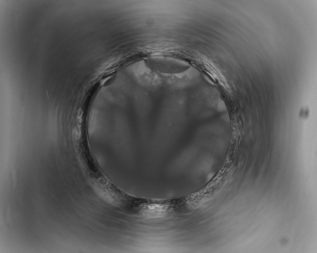 X0000103490163200810031613