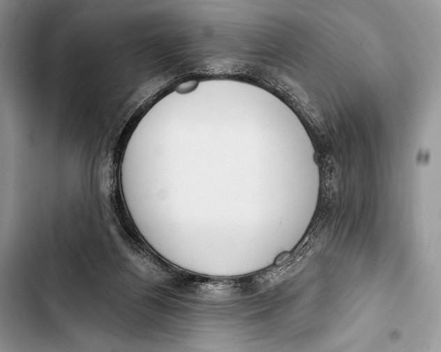 X0000103490164200810031613