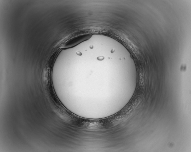 X0000103490165200810031613