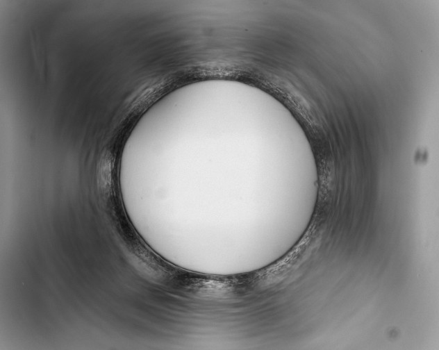 X0000103490166200810031613