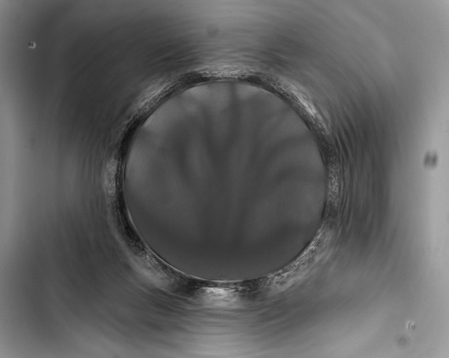 X0000103490167200810031613