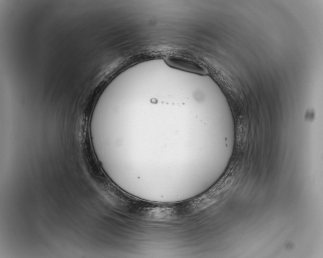 X0000103490168200810031613