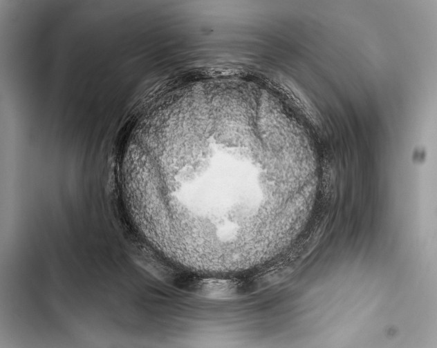 X0000103490169200810031613