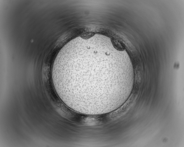 X0000103490171200810031613