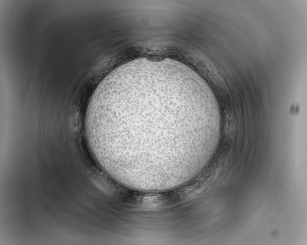 X0000103490173200810031614