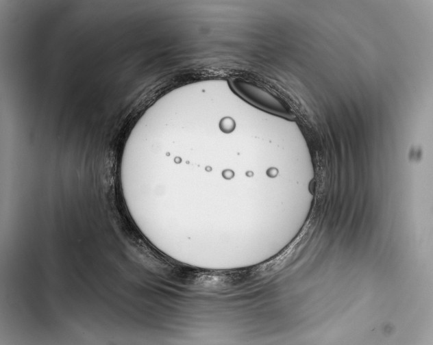 X0000103490174200810031614