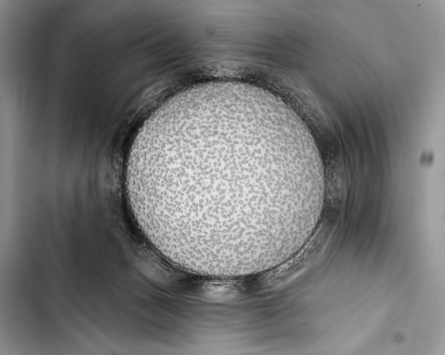 X0000103490175200810031614