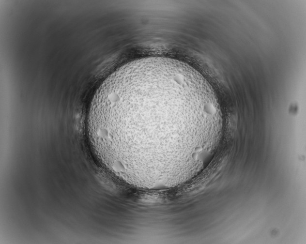 X0000103490177200810031614