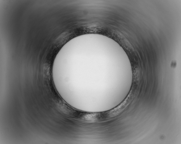 X0000103490178200810031614