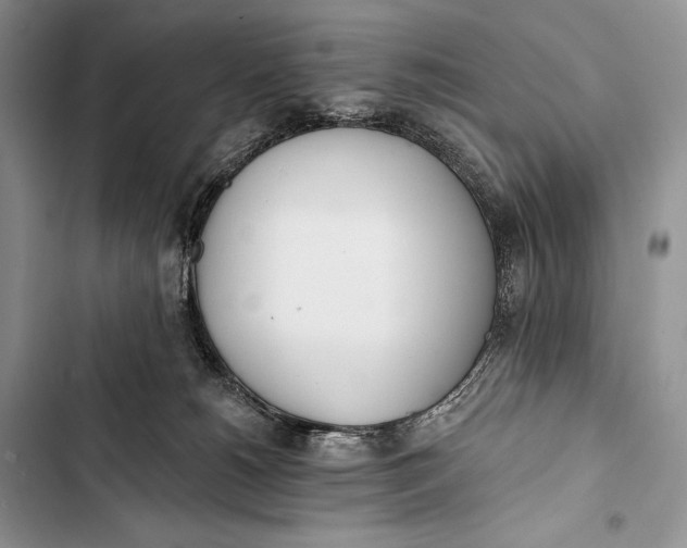 X0000103490180200810031614