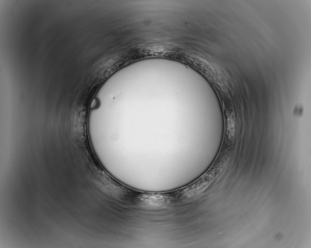 X0000103490181200810031614