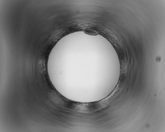 X0000103490182200810031614