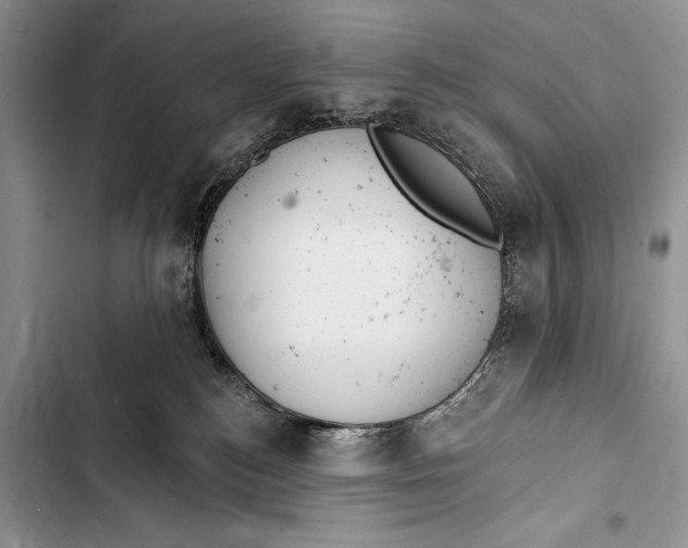 X0000103490184200810031614