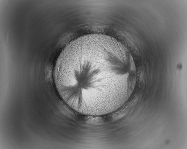 X0000103490185200810031614