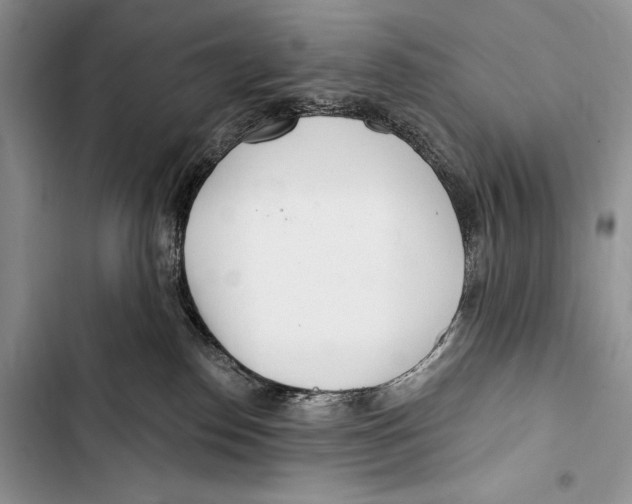 X0000103490186200810031614