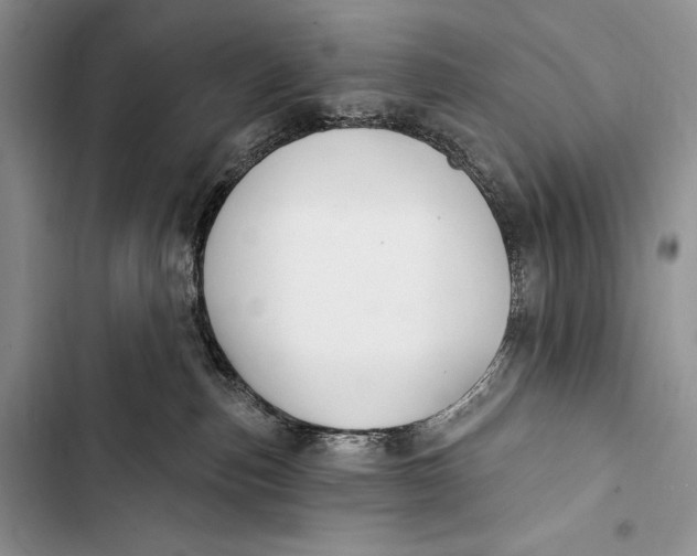 X0000103490187200810031614