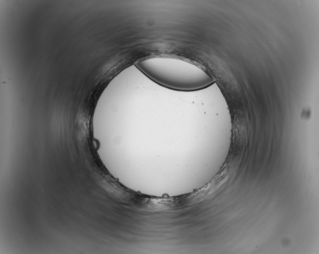 X0000103490188200810031614