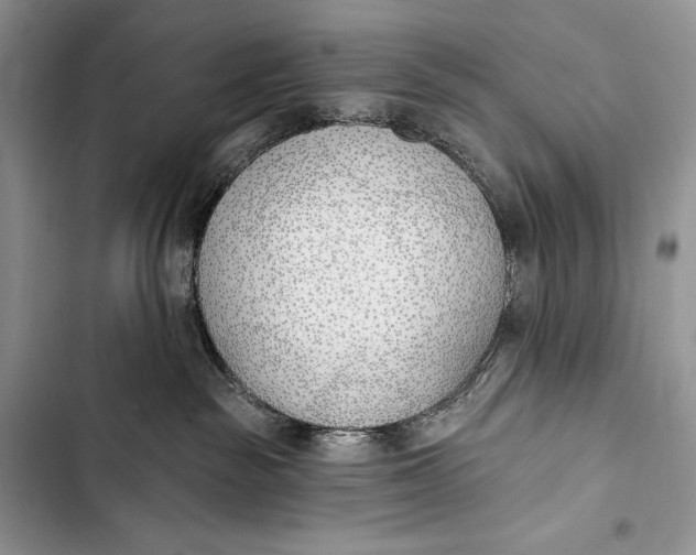 X0000103490189200810031614