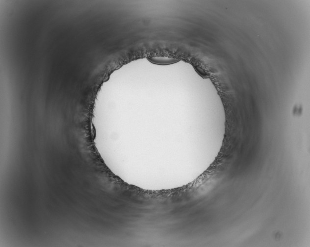 X0000103490192200810031614