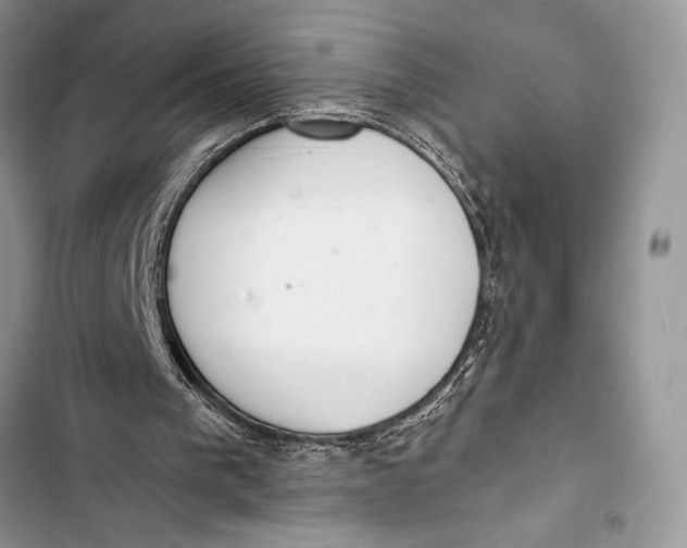 X0000103490193200810031613