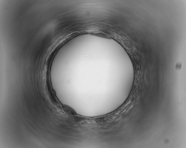 X0000103490194200810031613