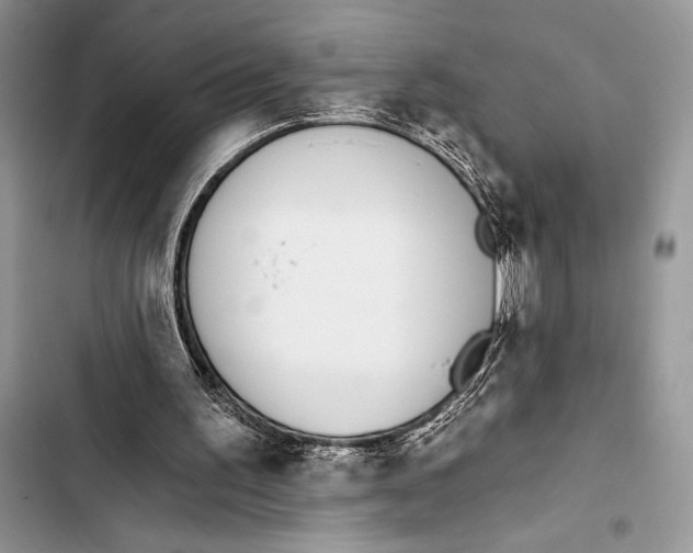 X0000103490195200810031613