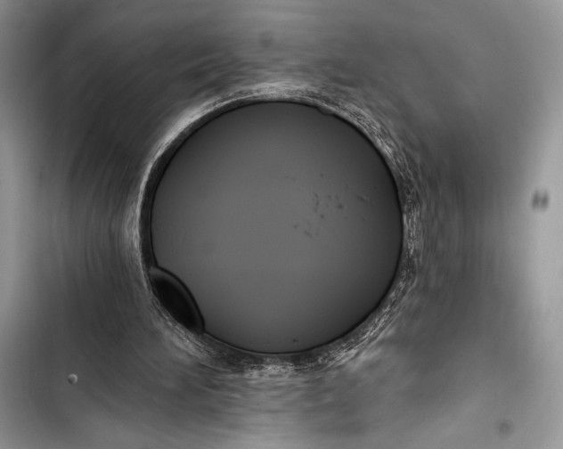 X0000103490196200810031613