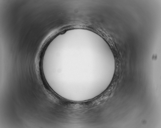 X0000103490197200810031613