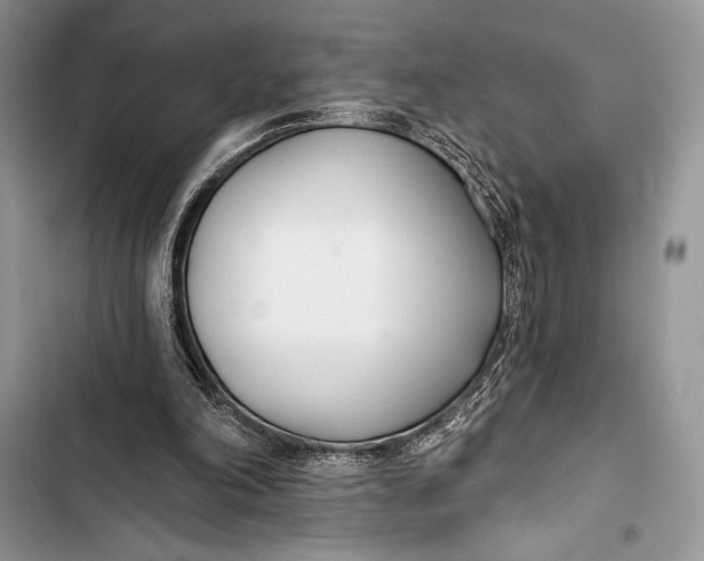 X0000103490198200810031613