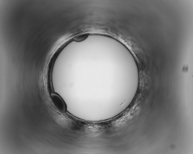 X0000103490199200810031613