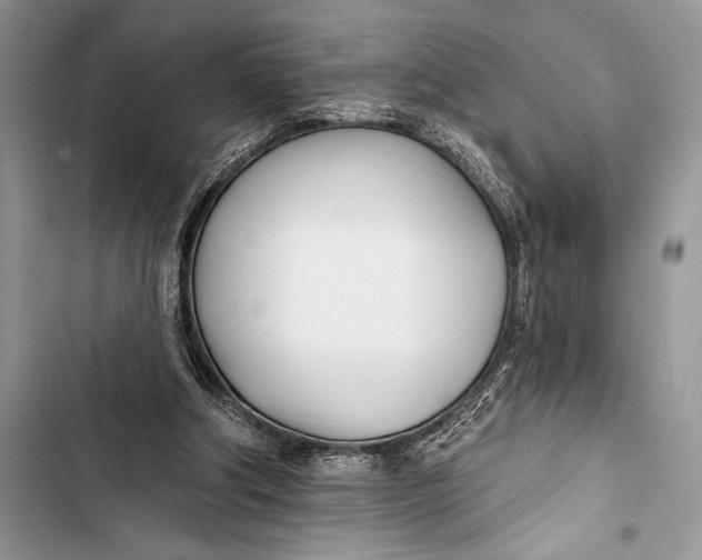 X0000103490202200810031613