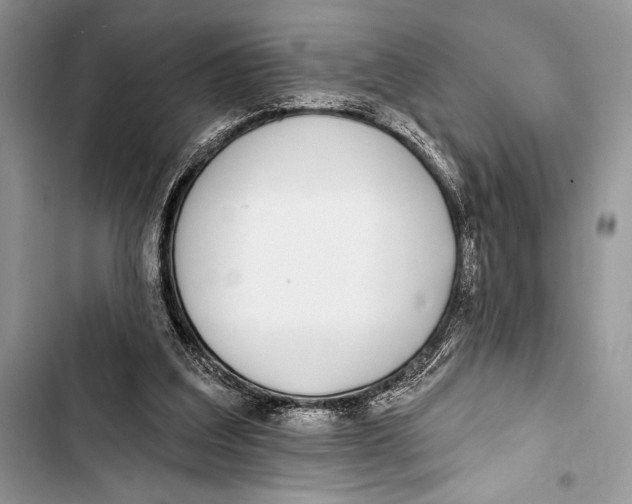 X0000103490203200810031613