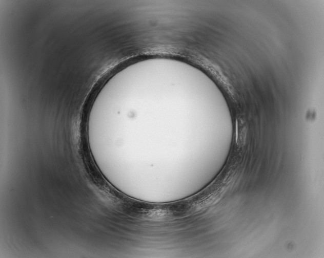 X0000103490204200810031613