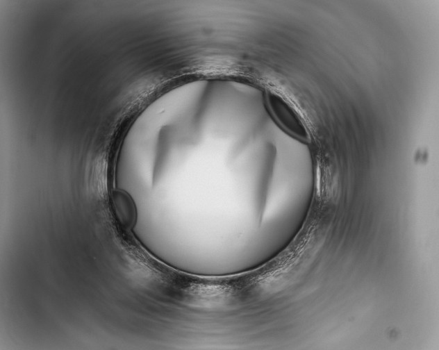 X0000103490205200810031613