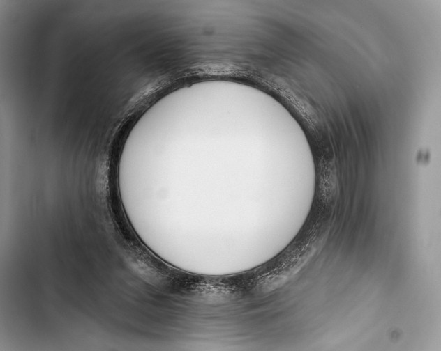 X0000103490207200810031613