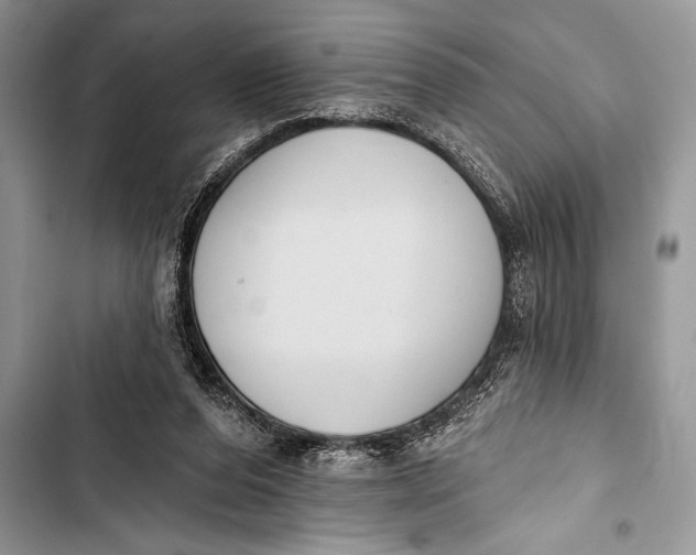 X0000103490208200810031613