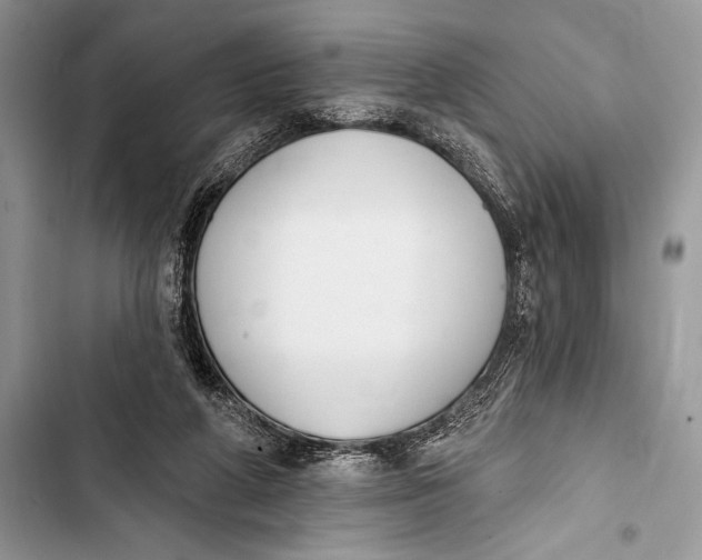 X0000103490210200810031613