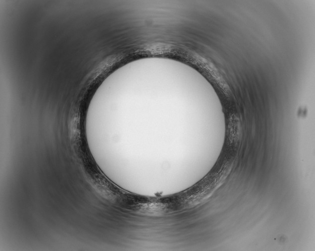 X0000103490212200810031613