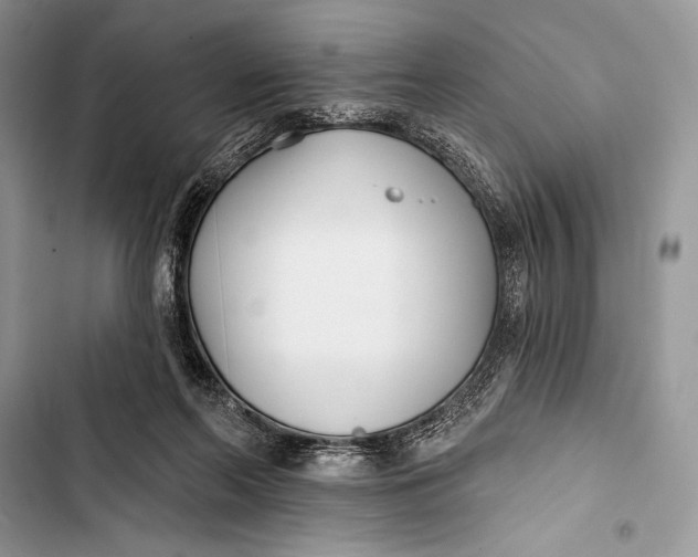 X0000103490214200810031612