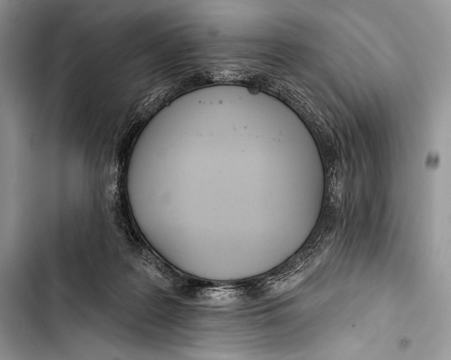 X0000103490219200810031612