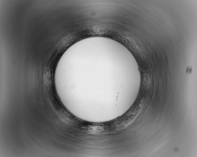 X0000103490220200810031612