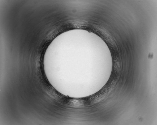 X0000103490221200810031612