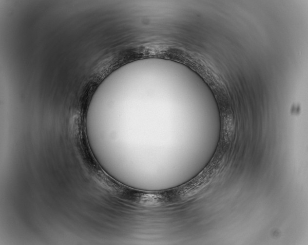 X0000103490222200810031612