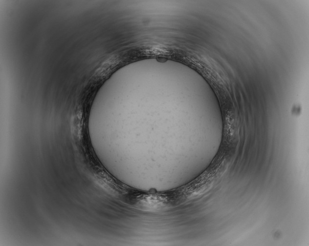 X0000103490223200810031612