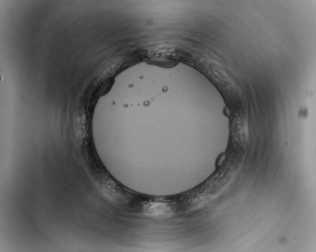 X0000103490224200810031612