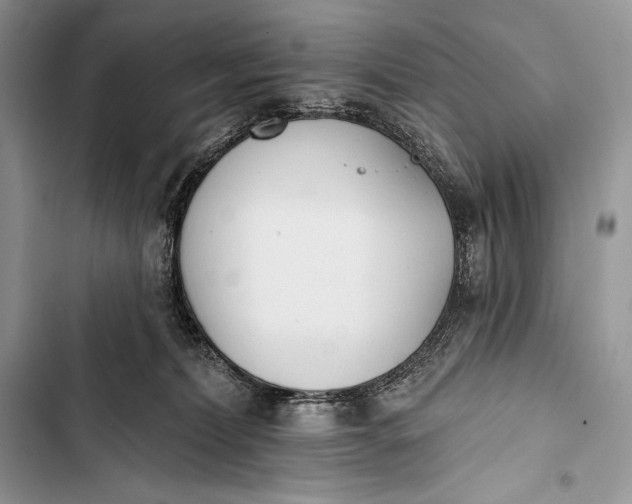 X0000103490228200810031612