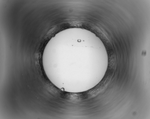 X0000103490229200810031612