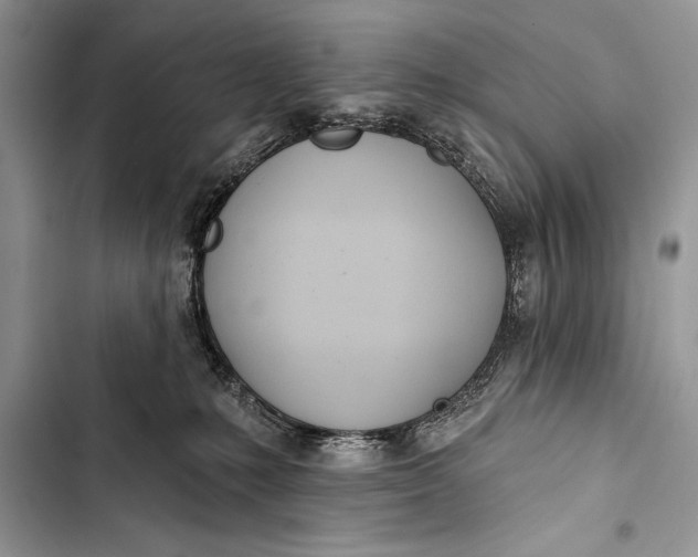 X0000103490231200810031612